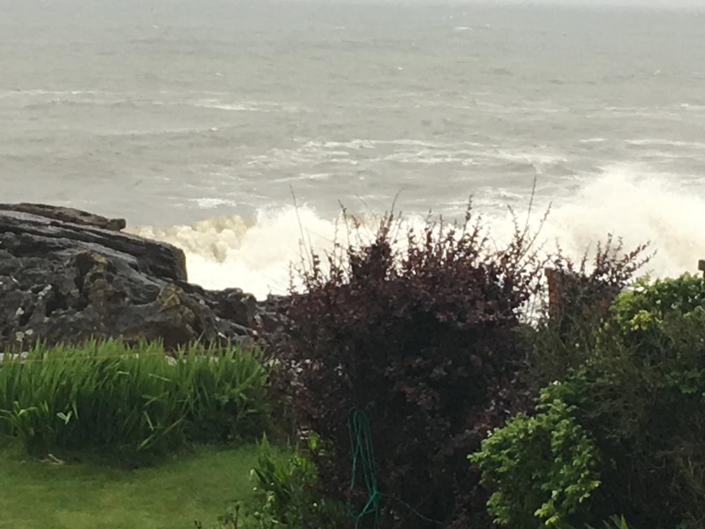 Cellardyke Belstane House Bed & Breakfast エクステリア 写真